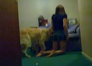 Just a kinky zoophile and the dog