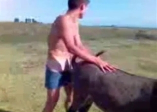 Dude fucks a horny animal outdoors