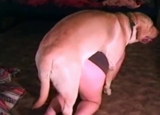 She cannot get enough of that cock