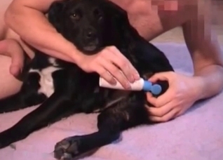 Extreme action with a black doggo